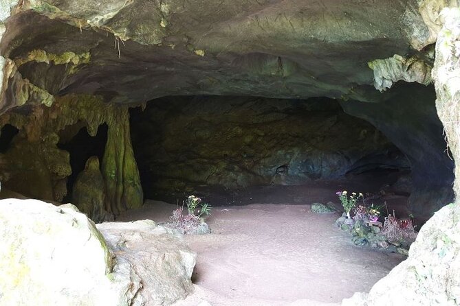 Cuc Phuong National Park Private Day Tour: Trekking & Primates - Practical Preparation for the 8:00 a.m. Start