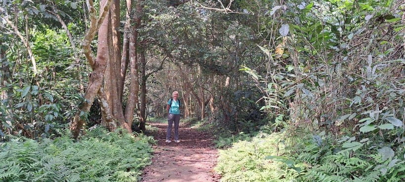 Cuc Phuong National Park - Van Long Day Trip From Hanoi - From Hanoi to the forest near Ninh Binh