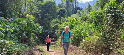 Cuc Phuong National Park – Van Long Day Trip From Hanoi