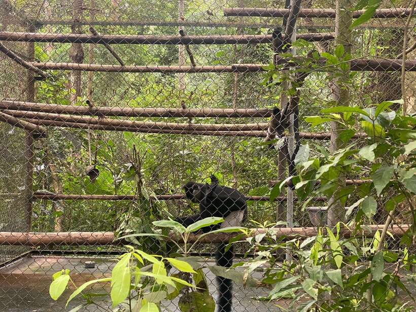 Cuc Phuong National Park - Van Long Day Trip From Hanoi - Booking tips for a smoother morning