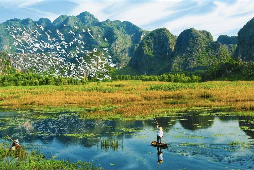 Cuc Phuong National Park - Van Long Day Trip From Hanoi - Should you book the Cuc Phuong and Van Long tour?