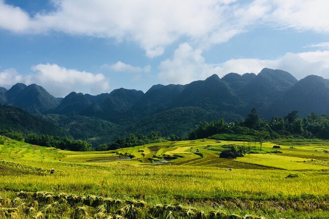 Daily Shuttle Bus Transfer Hanoi to Pu Luong or return - Arriving at Pu Luong Centre around midday