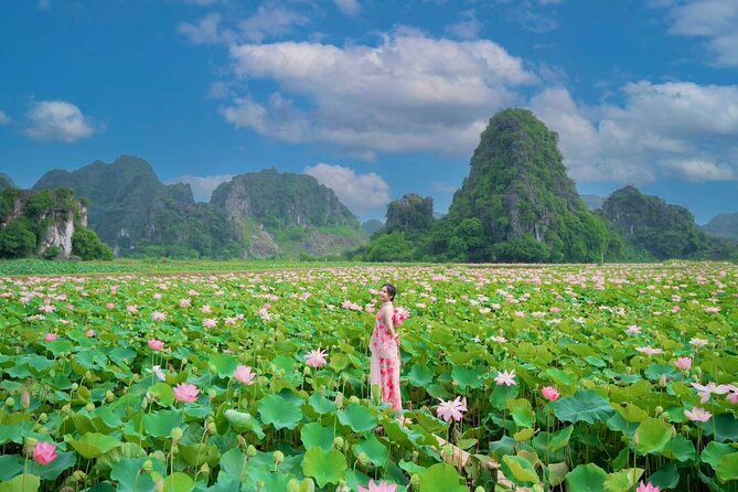 Dcar Day-Tour: Hoa Lu & Trang An & Mua Cave - A buffet lunch with room for different diets