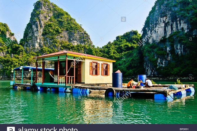 Deluxe Halong Bay 6 Hours Cruise To Visit Surprising Cave And Titop Island - A Sunset Party Before the Return to Hanoi