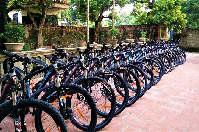 Discover Trang An Natural World Heritage, Bich Dong Pagoda, Cycling Day Tour - Starting early from Hanoi’s Old Quarter
