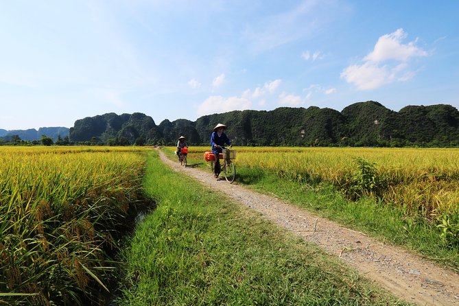 Discover Trang An Natural World Heritage, Bich Dong Pagoda, Cycling Day Tour - A local lunch with Vietnamese flavors