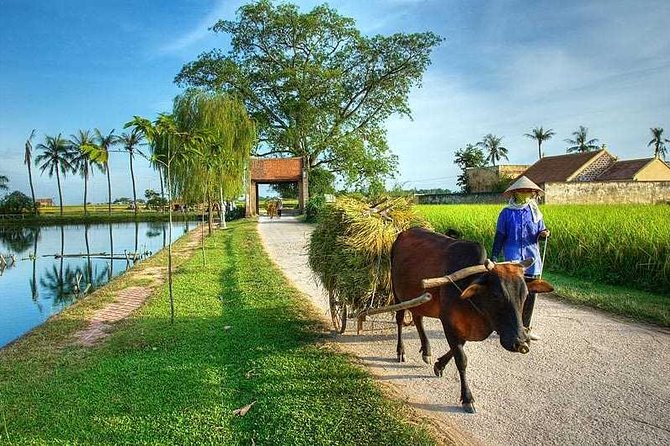 Duong Lam Ancient Village full day tour from Hanoi & experiencing local life - Key points at a glance