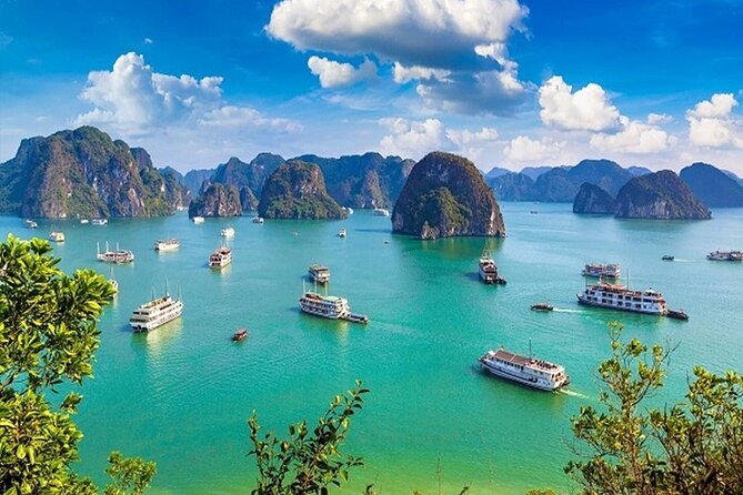 Elite of The Seas - Top Vip Luxury Cruise in Halong Bay ( 2D1N ) - Meals at the Cirrus Cloud restaurant
