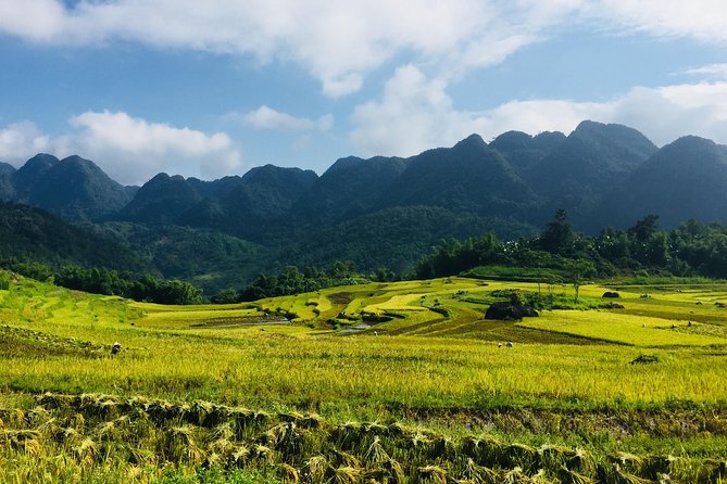 Explore Mai Chau - Pu Luong - Ninh Binh 4 Days / 3 Nights - Key points at a glance