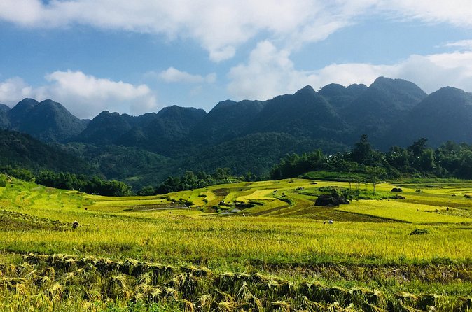 Explore Mai Chau - Pu Luong - Ninh Binh 4 Days / 3 Nights - Who should book this trip