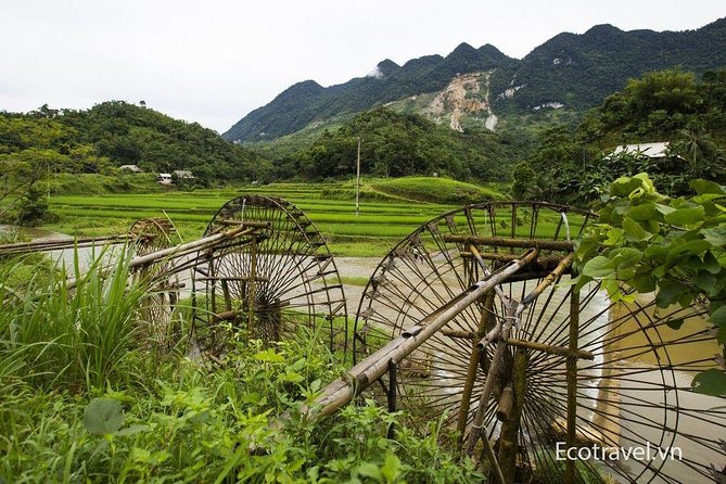 Explore Mai Chau - Pu Luong - Ninh Binh 4 Days / 3 Nights - Day 2: Entering Pu Luong Nature Reserve