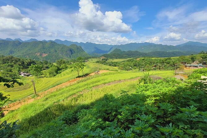 Explore Rice Terrace Pu Luong Ninh Binh Ha Long 4 Days 3 Night - Should you book it?