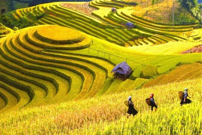 Fansipan Mountain, Cat Cat Village, Rice Terrace 2 Day Sapa Tour - Who should book this Sapa experience