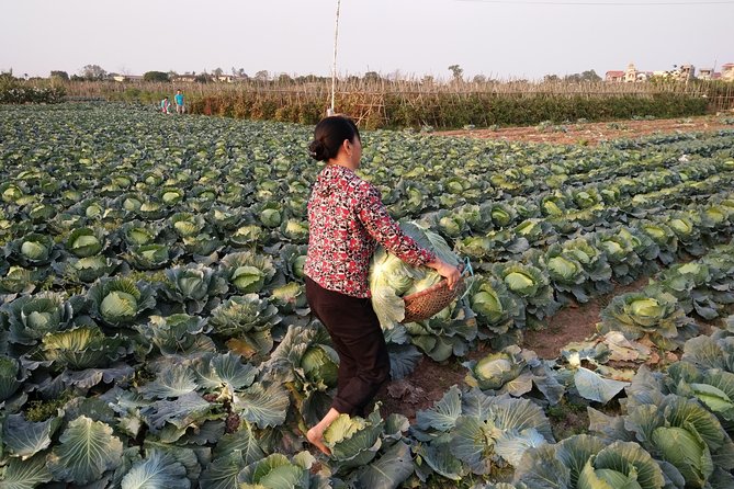 Farm tour & Home cooking class with local family in Hanoi - Key points to know before booking
