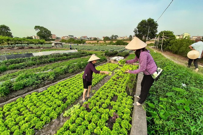 Farm tour & Home cooking class with local family in Hanoi - Why the private format matters