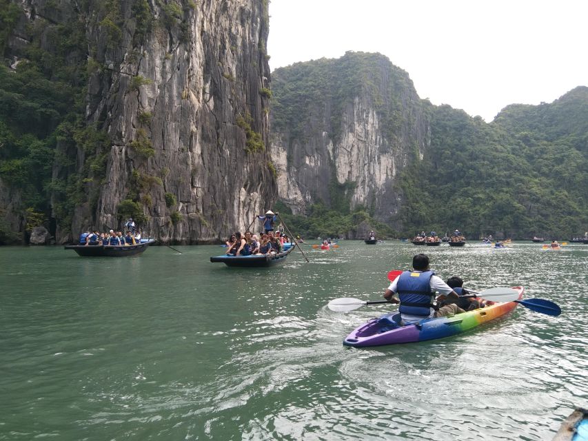 From Ha Noi - Fullday Trip Ha Long Bay - Sunset fruit, tea, and the return sail