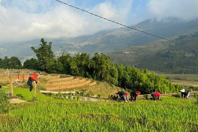 From Hà Nội ; Mu Cang Chai 3 Days 2 Nights By Car and Trekking - Why Mu Cang Chai makes a worthwhile three-day trip