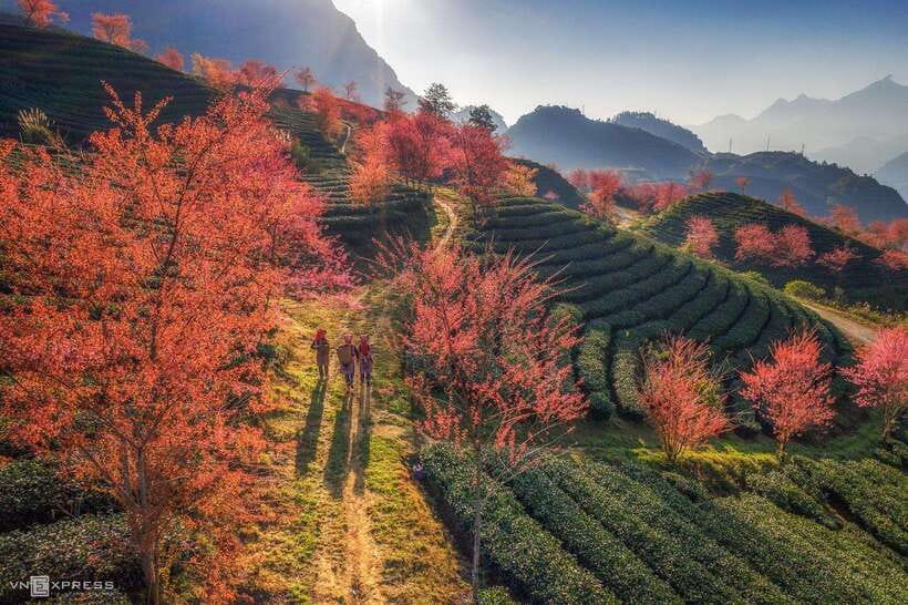 From Hanoi: 1-day Sapa Trekking Tour With Overnight Bus - Ta Van Village and lunch at a local homestay