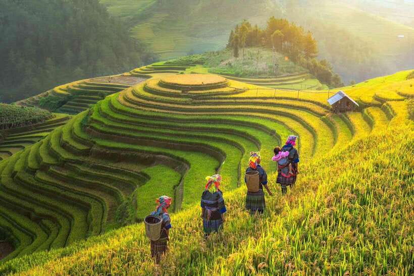 From Hanoi: 1-day Sapa Trekking Tour With Overnight Bus - Weather, clothing, and fitness