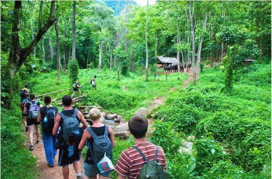 From Hanoi: 2-Day Ha Long Bay Tour with Ninh Binh and Cruise - Two of Vietnam’s headline sights in one tight schedule