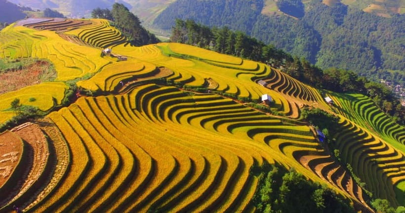From Hanoi: 2-Day Luxury Sapa Trekking Tour with Homestay - How hard is the trek?