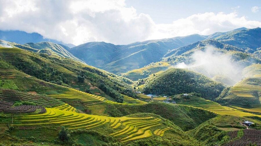 From Hanoi: 2-Day Overnight Sapa Tour by Limousine - Arrival in Sapa and the Sin Chai walk