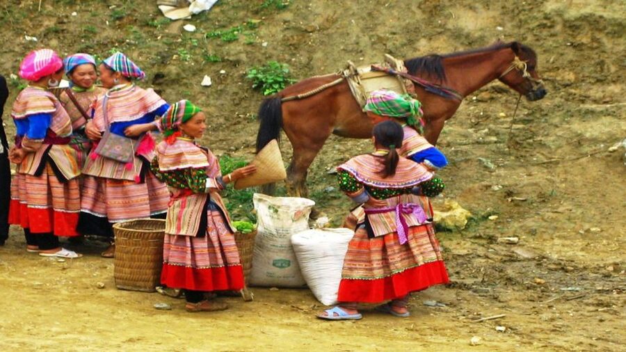 From Hanoi: 2-Day Overnight Sapa Tour by Limousine - Food, timing, and the return to Hanoi