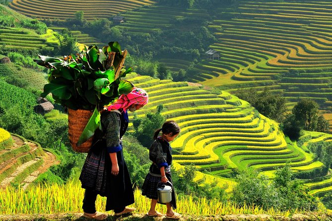 From Hanoi: 2-Day Overnight Sapa Tour by Luxury Van Limousine - Cat Cat Village and the tourist side of Sapa