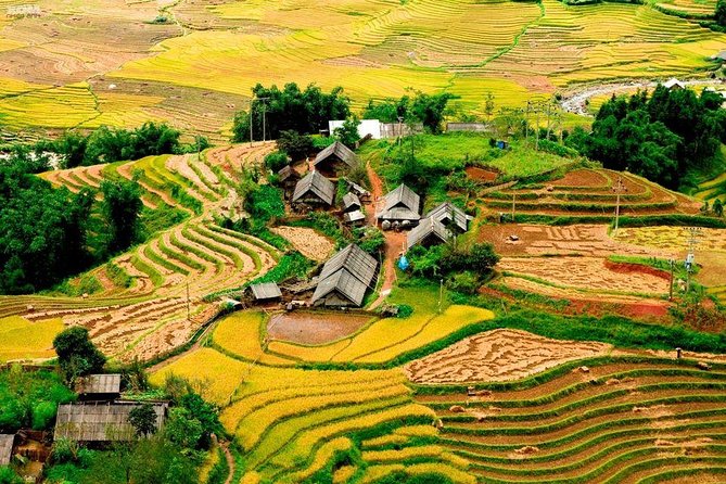 From Hanoi: 2-Day Overnight Sapa Tour by Luxury Van Limousine - How strong are the guides?