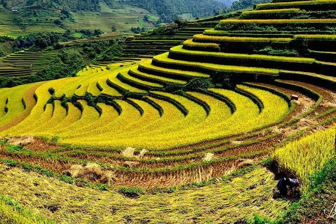 From Hanoi: 2-Day Overnight Sapa Tour by Luxury Van Limousine - Is $117 a fair price?