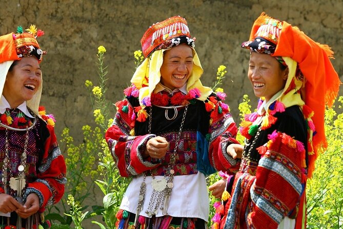 From Hanoi: 2-Day Overnight Sapa Tour by Luxury Van Limousine - Who should book this Sapa trip?