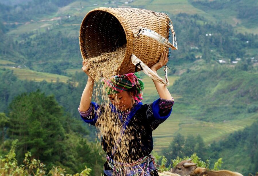 From Hanoi: 2-Day Sapa Cultural Exchange Tour with Homestay - The guide can shape the whole experience