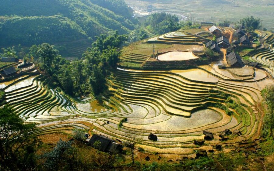From Hanoi: 2-Day Sapa Cultural Exchange Tour with Homestay - Ta Van village and a Dzay family homestay