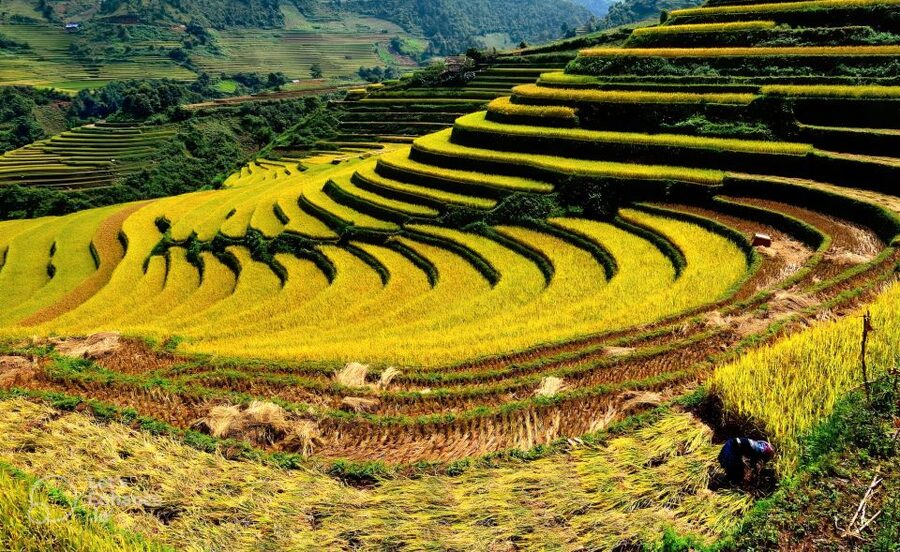 From Hanoi: 2-Day Sapa-Fansipan Peak & Trek & Ha Giang Bus - What the price includes, and what it does not