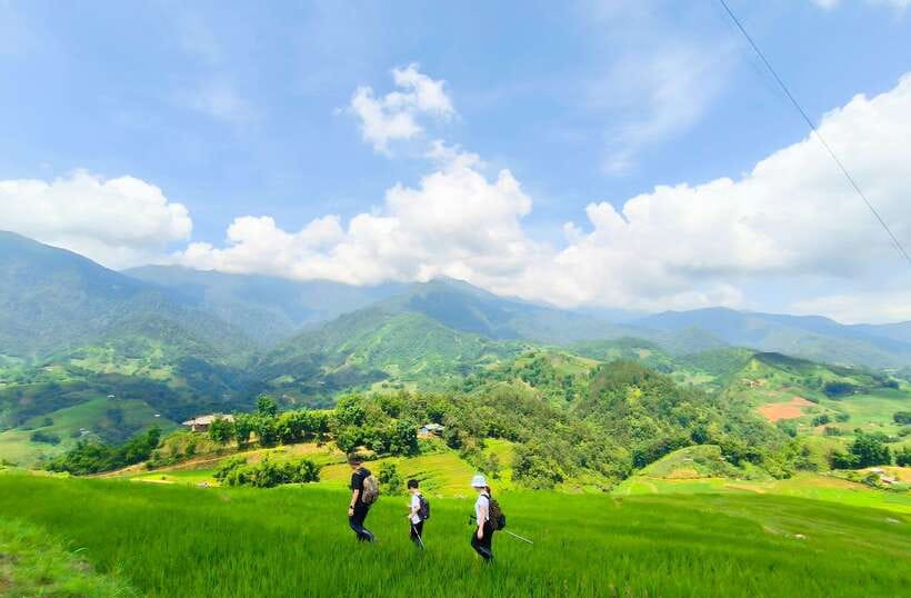 From Hanoi: 2-Day Sapa Trek Tour - Luxury Limousine Transfer - Food, meal choices, and what is really included