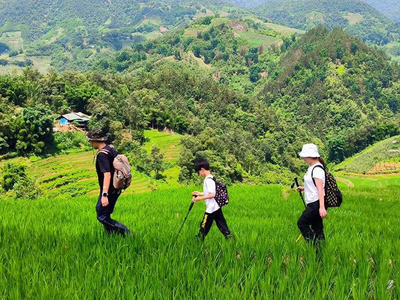 From Hanoi: 2-Day Sapa Trek Tour - Luxury Limousine Transfer - Guides and the local connection
