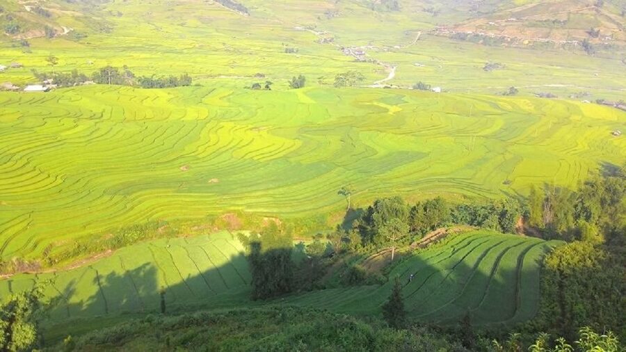 From Hanoi: 2 Day Sapa Trekking To Village & Bungalow, Meals - Y Linh Ho and Lao Chai: The Strongest Walk of Day One