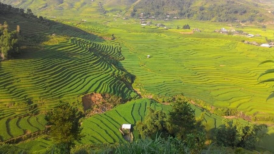 From Hanoi: 2 Day Sapa Trekking To Village & Bungalow, Meals - Giang Ta Chai and the Red Dzao Trail