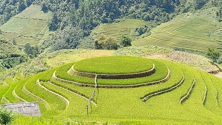 From Hanoi: 2 Day Sapa Trekking To Village & Bungalow, Meals - What the $87 Price Really Buys You