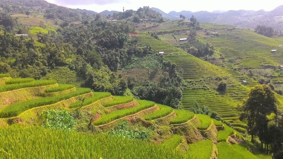 From Hanoi: 2 Day Sapa Trekking To Village & Bungalow, Meals - Who Should Book This Sapa Trip?