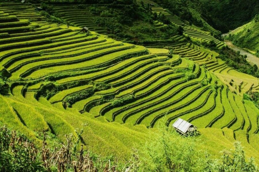 From Hanoi: 2-Days Sapa Trekking Tour Lao Chai and Cat Cat - Key points at a glance