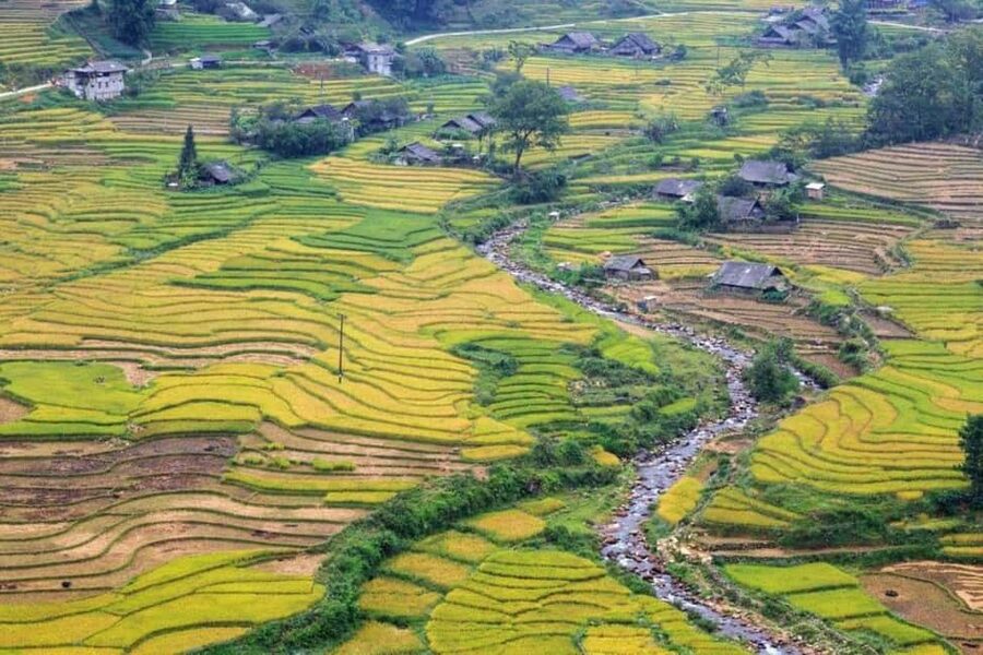 From Hanoi: 2-Days Sapa Trekking Tour Lao Chai and Cat Cat - What this $92 Sapa trip really gives you