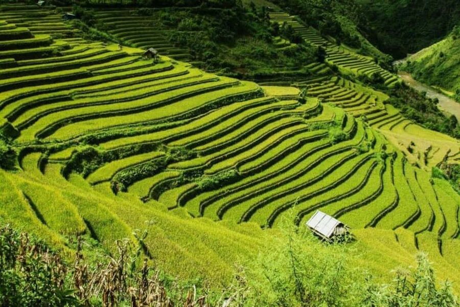 From Hanoi: 2-Days Sapa Trekking Tour Lao Chai and Cat Cat - From Hanoi to Sapa by limousine-style bus