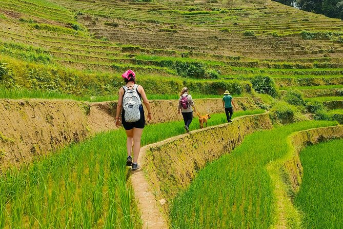 From Hanoi: 2D1N Mu Cang Chai Private Trekking & Homestay - Reaching Mu Cang Chai by private car