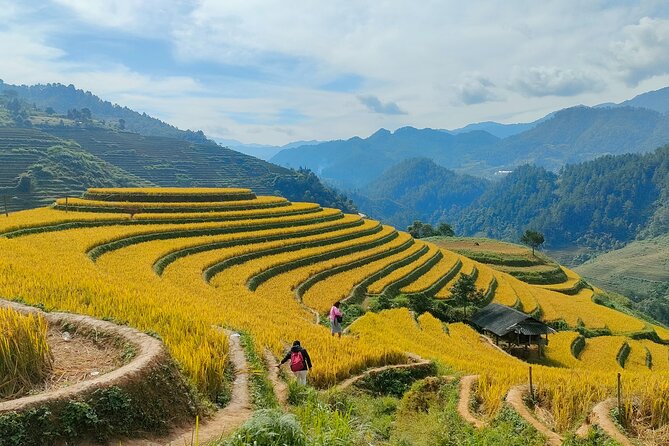 From Hanoi: 2D1N Mu Cang Chai Private Trekking & Homestay - Villages, waterfalls, and the quieter side of northern Vietnam