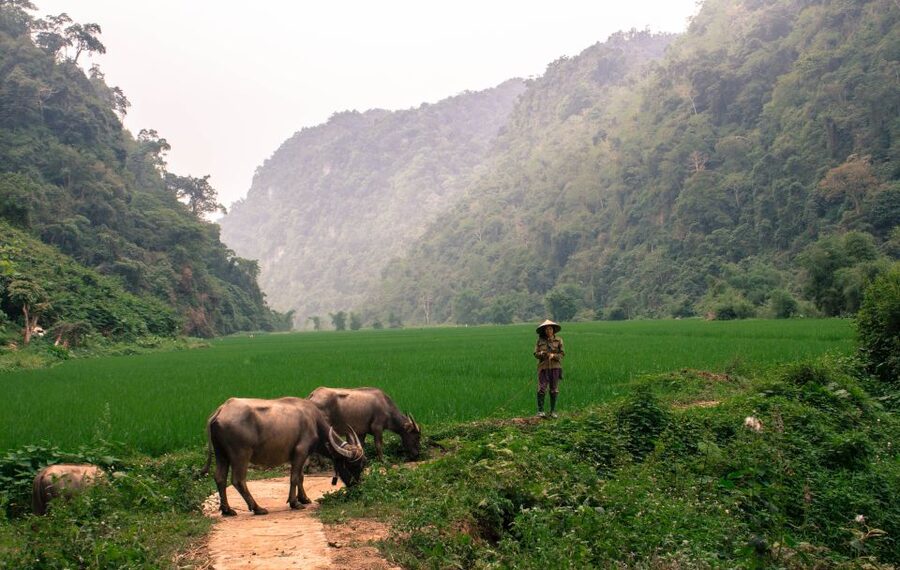 From Hanoi: 3-Day Ba Be Lake & Ban Gioc Falls Private Tour - What the $427 price really covers