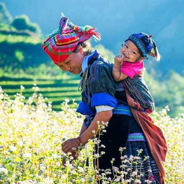 From Hanoi: 3-Day Guided Tour of Sapa with 3-Star Hotel - Day three: Ham Rong or Fansipan