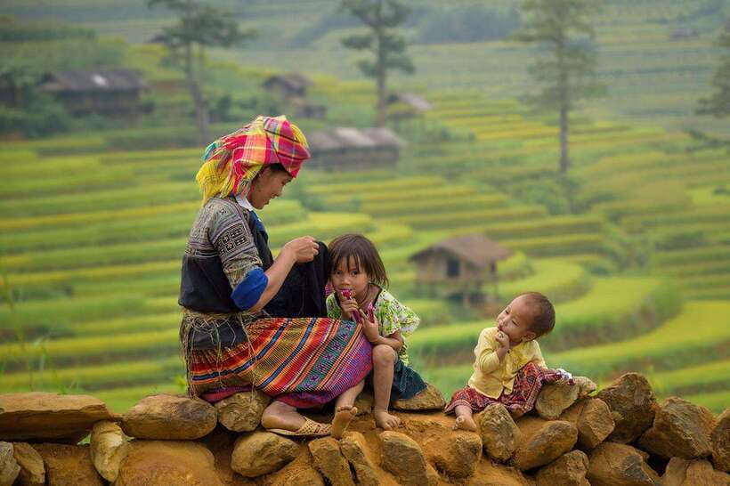 From Hanoi: 3-Day Sapa, Fansipan, Ninh Binh Tour with Meals - A fast route from Hanoi to two very different regions