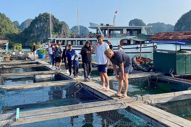 From Hanoi/Cat Ba: Lan Ha-Ha Long Bay Full Day Boat trip - Cai Beo floating village and the first look at local life