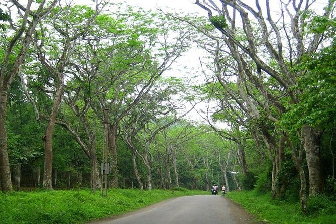 From Hanoi: Cuc Phuong National Park Day Trip by Private Car - Lunch at a house on stilts